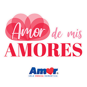 Descripción de la imagen